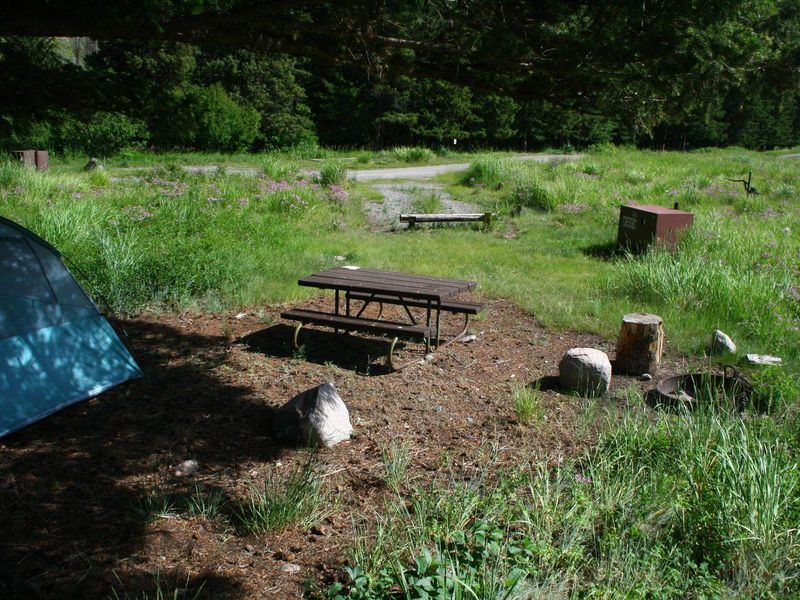 Slough Creek Campground Site #8