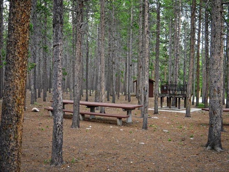 Hettinger Group Area