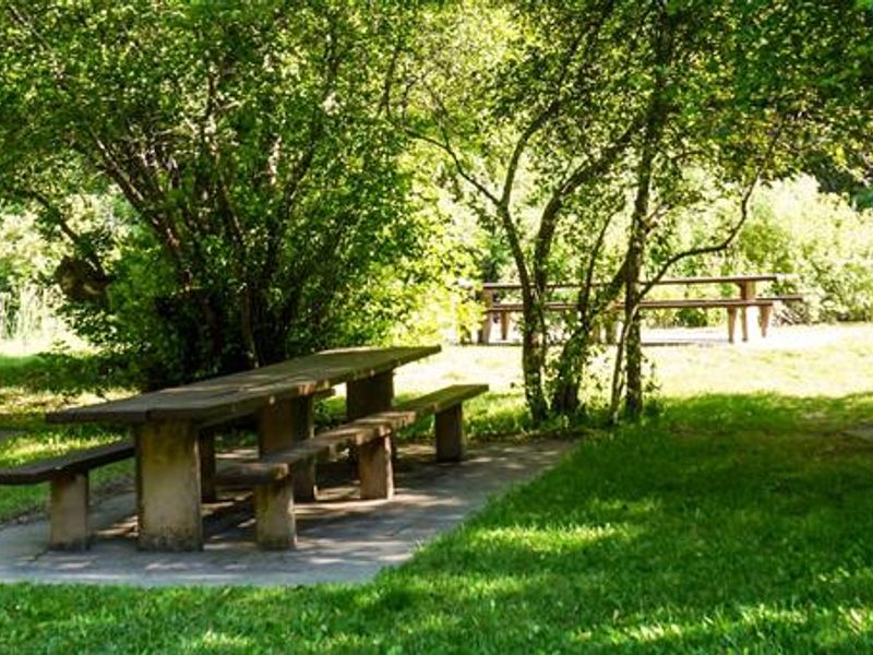 Shenoah Picnic Area