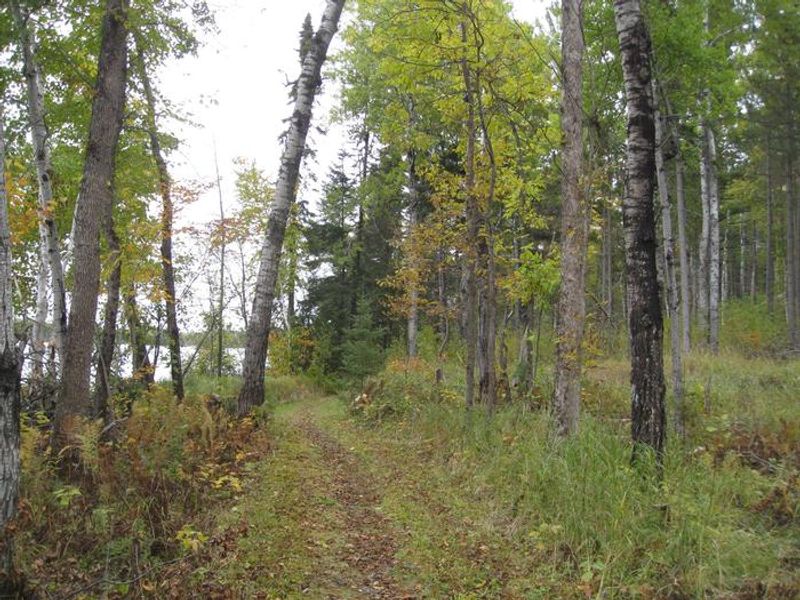 Hiking trail that goes around campground area and along river.