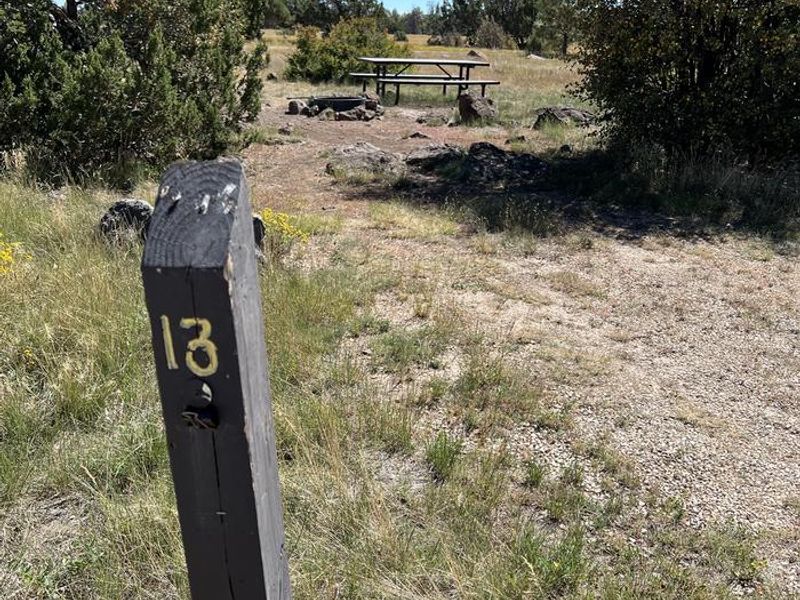 Forked Pine Campground - Site 13
