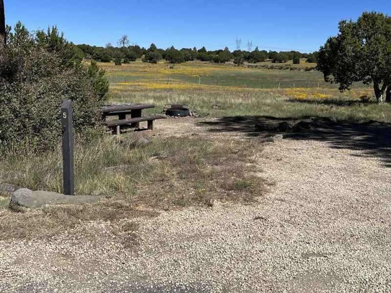 Forked Pine Campground - Site 5