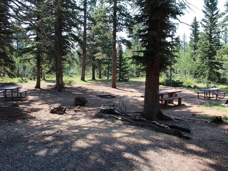 Double campsite # 90