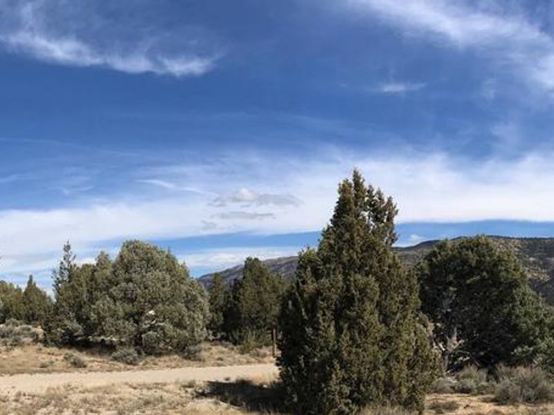 Orange Olsen Guard Station