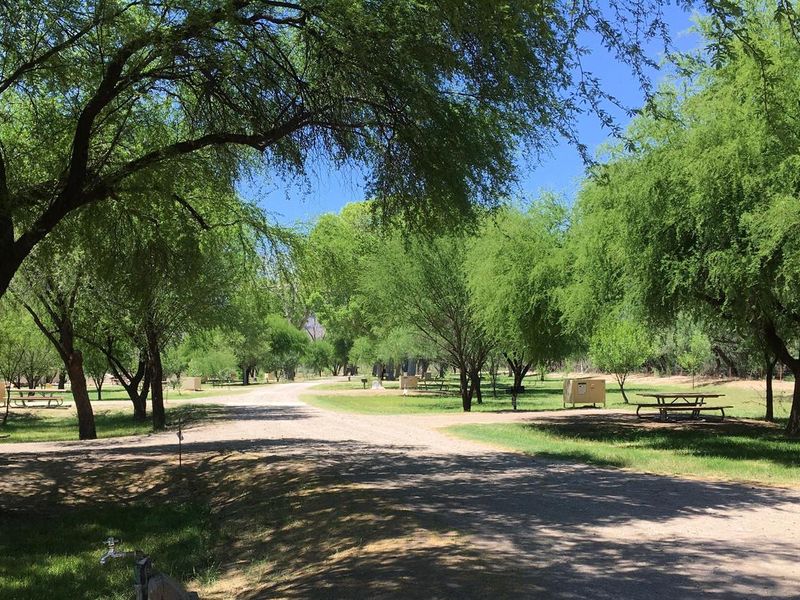 Cottonwoods and acacia trees provide shelter and shade to campers.
