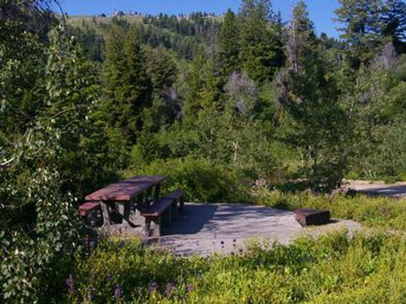 Shafer Butte Campground