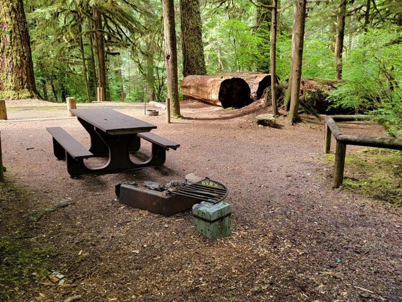 Yellowbottom Campground campsite 22