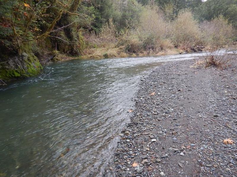 Gravel bar and creek flowing behind Edson Creek Campground.