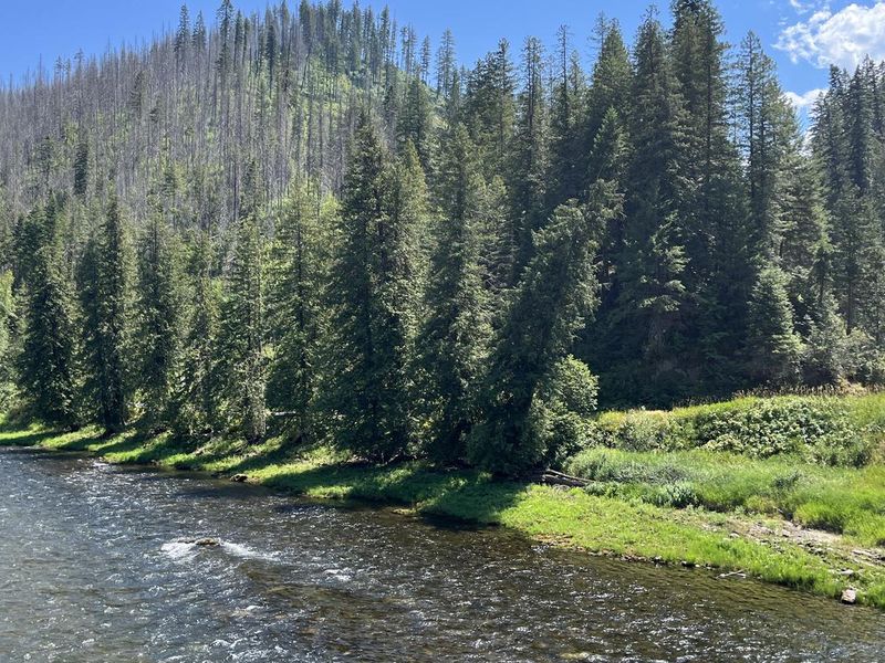 Nez Perce-Clearwater National Forest