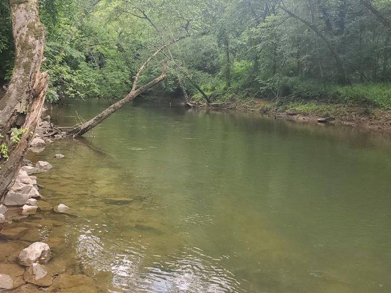 The downstream area has 0.5miles of fishing access to the outflow of Dewey Lake (John's Creek). In here you'll find catfish, bluegill, sunfish, muskellunge, bass, and rainbow trout