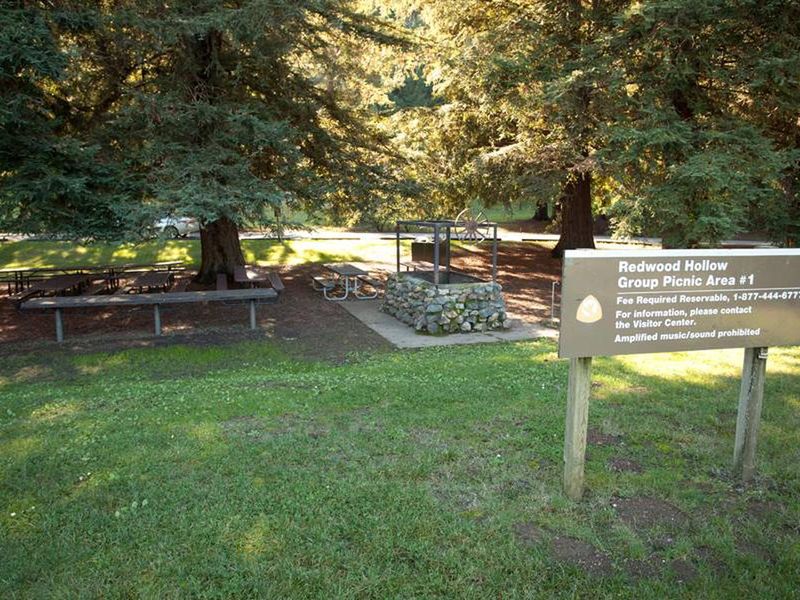 Redwood Hollow Group picnic #1