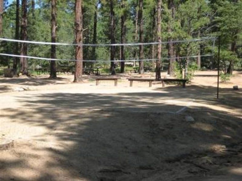 Volleyball court with benches, volleyball net is not provided. 