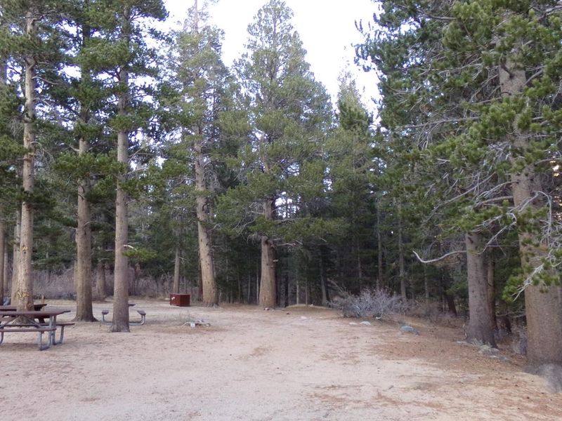 Palisades Group Campground