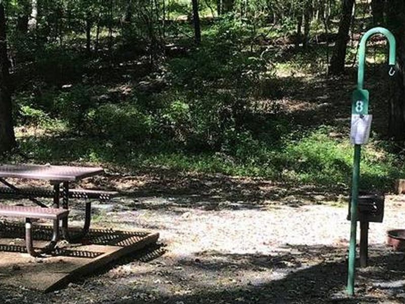 Campsite #8. Tent site with the following amenities: fire-pit, grill, picnic table, lantern pole, trash can.