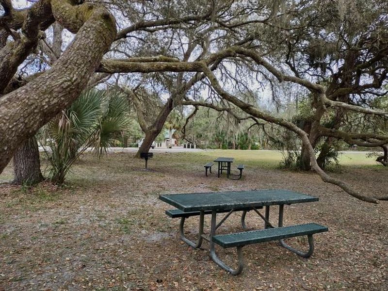 Enjoy a quieter picnic here under shady oaks