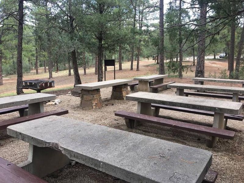 Example of a reservable picnic site at Pine Flat