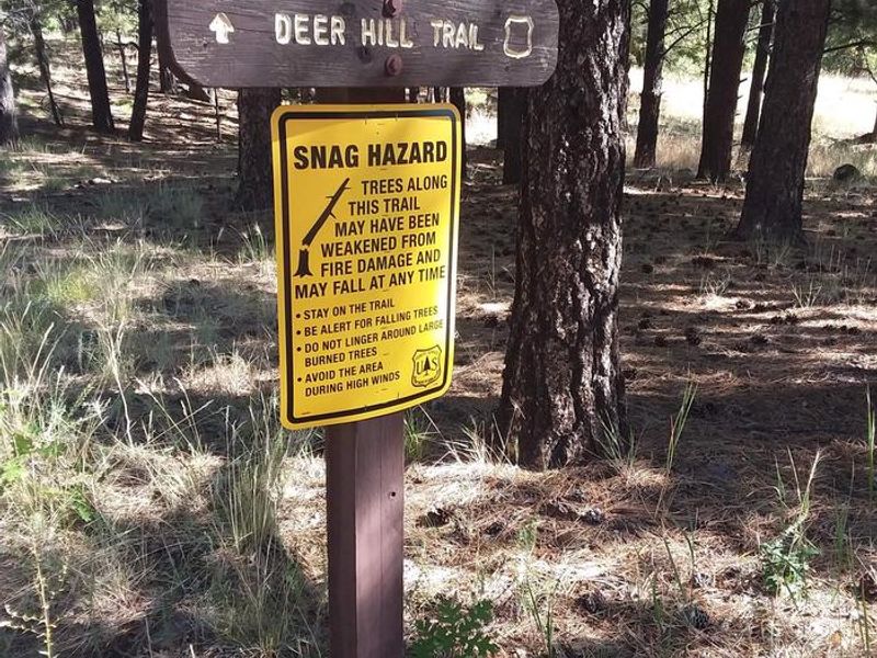 Little Elden Springs Deer hill trail sign