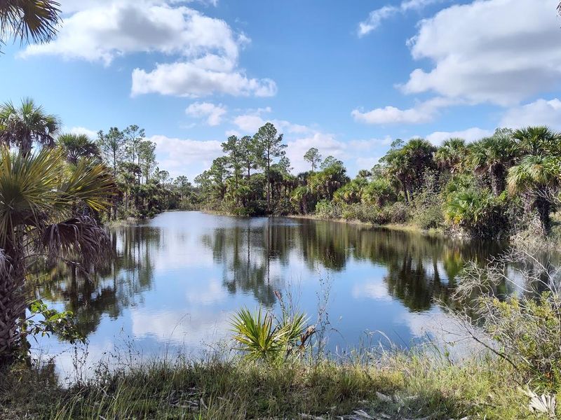 Gator Head Campground Backcountry 