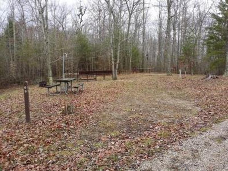 Unpaved campsite with picnic table, fire ring, lantern hook and uncovered stalls for horses.