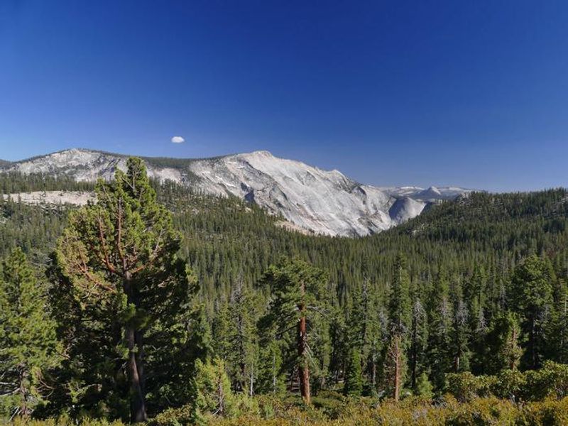 Tioga Pass, Yosemite National Park