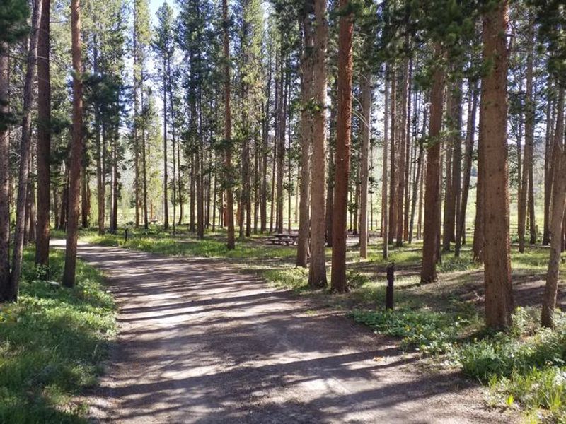 near site 9 in the morning