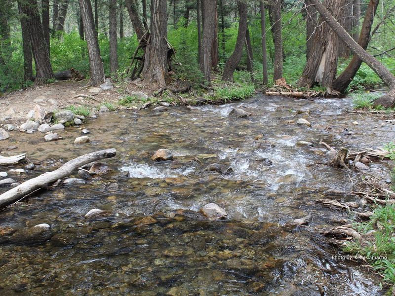 Little Hellroaring creek runs behind the cabin before it flows into Spanish Creek 