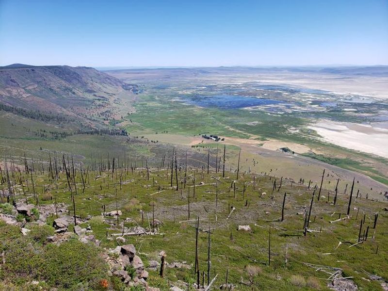 View of Summer Lake from Cabin