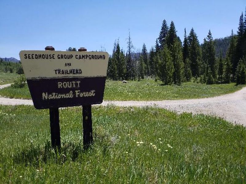 Seedhouse Group Site entrance site