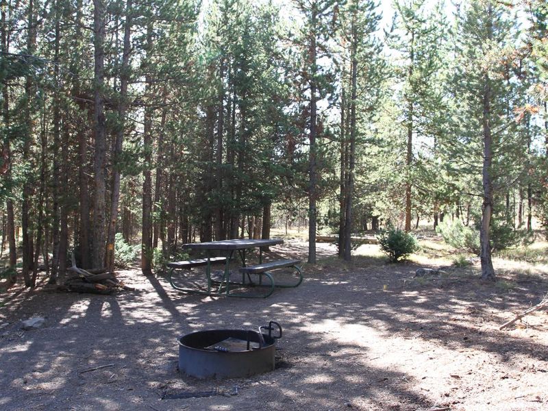 Indian Creek Campground site #51