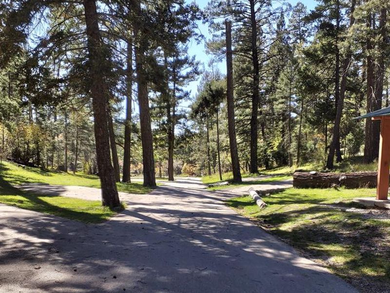 UPPER FIR Group Campground Paved Driveway