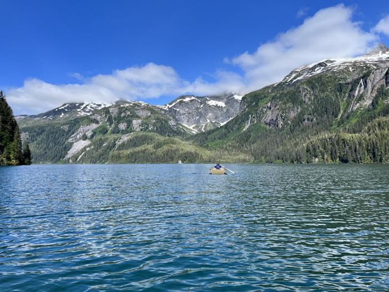 Swan Lake time for a row