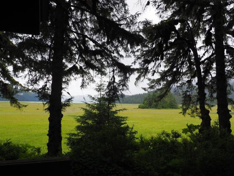 The view from Gut Island 1 Cabin