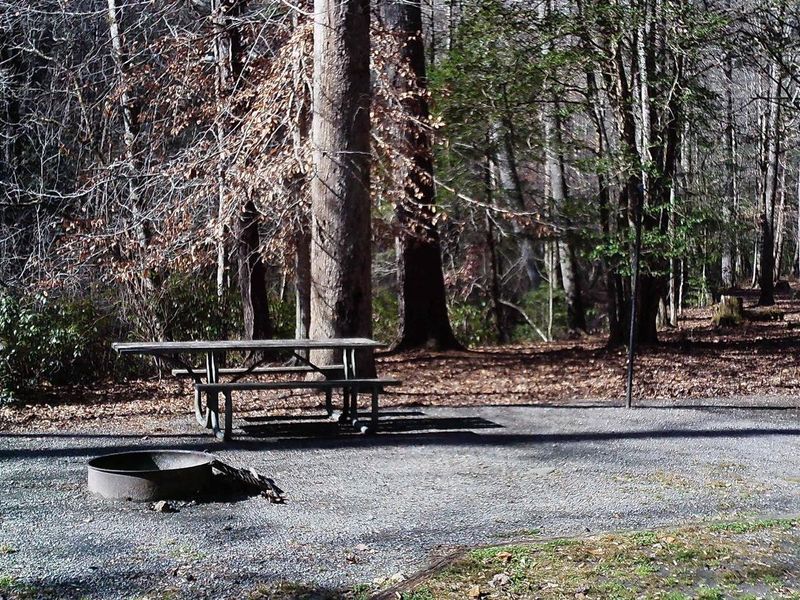 Site #9 is a wonderful creek side site across from 2 walk ins 10 & 11 and right next to 12.