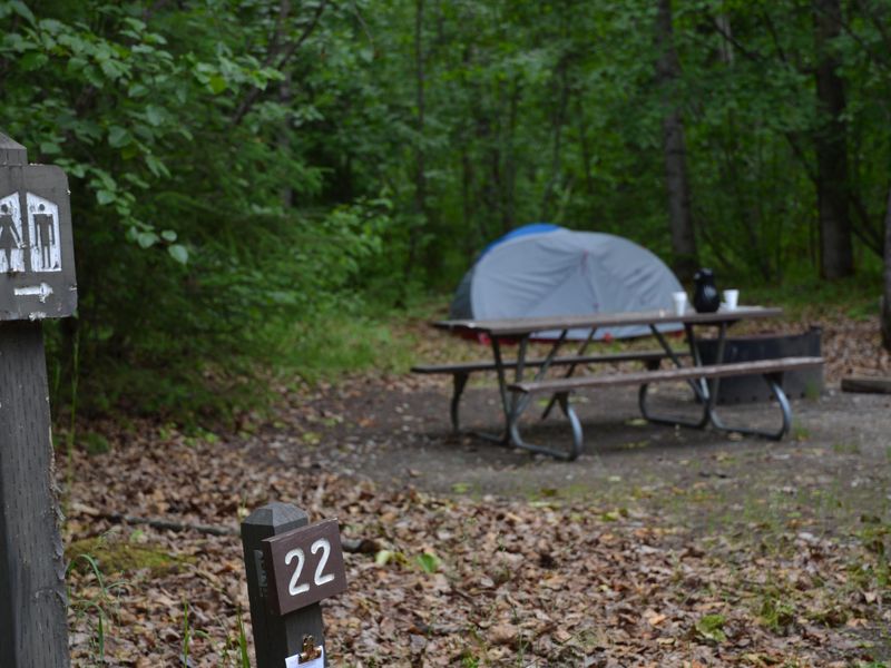 Just one campsite in the sleepy Dyea campground