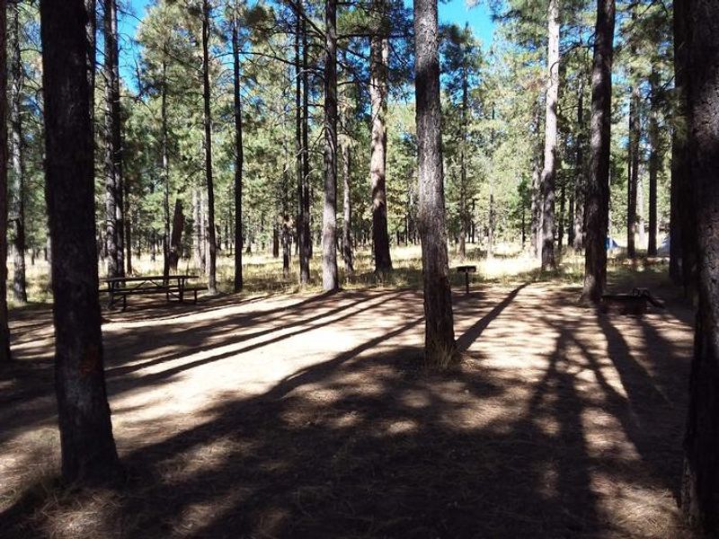 CANYON POINT Standard Campsite