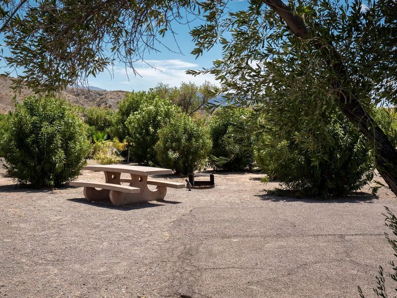 Callville Bay Campground