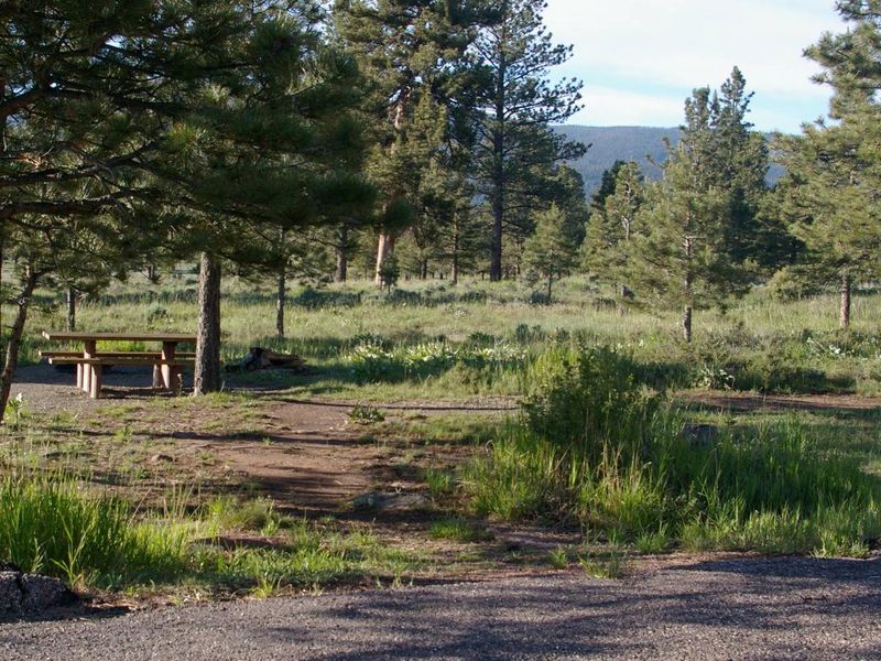 Canyon Rim Campground