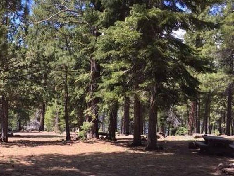 Blue Lake Campground Group Site 