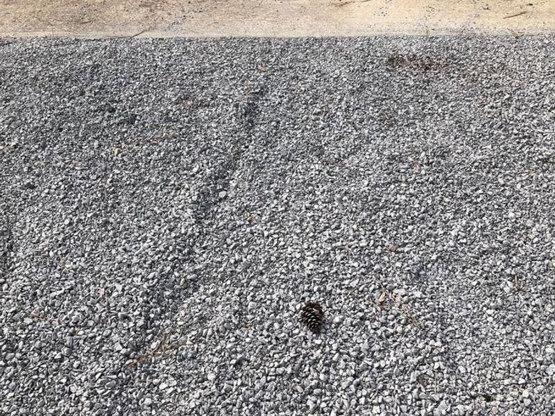 New gravel leading up to RV pads. 2020