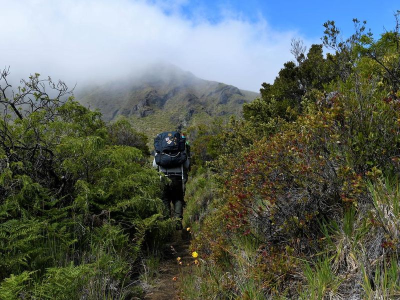 Backpackers hike nearly 9 miles to Palikū tent site area.
