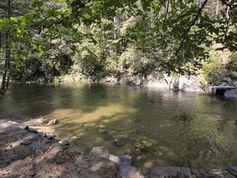 Davidson River