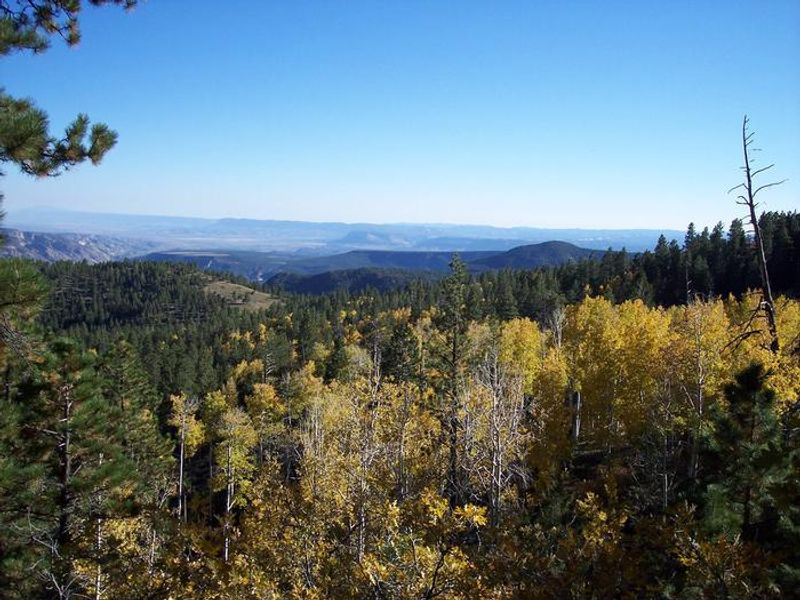 Fall colors seen from above the campground