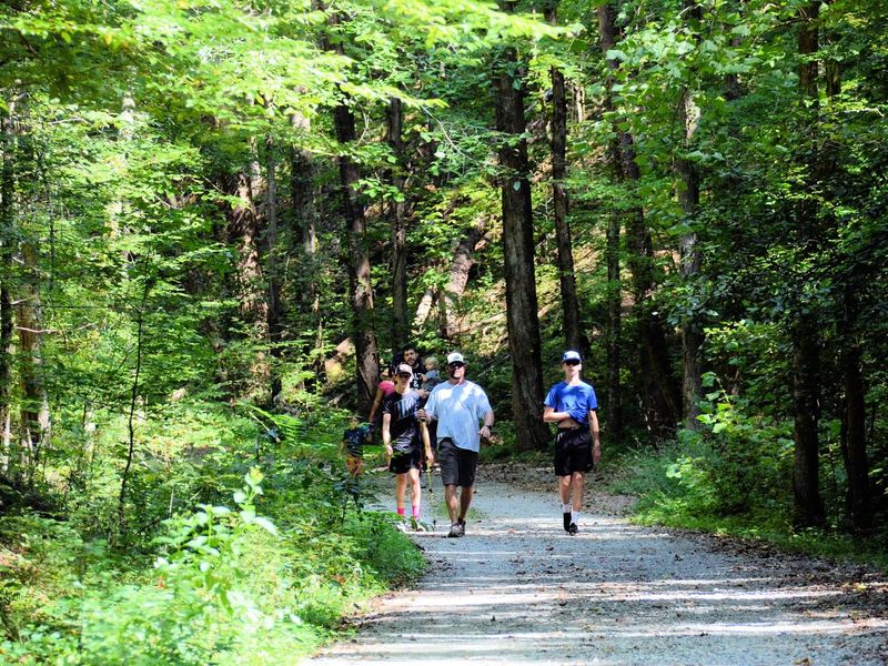 Cooper's Furnace Day Use Area, Hiking