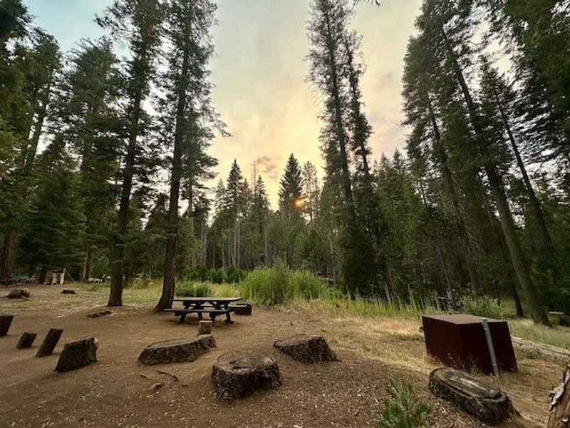 Ten Mile Campground - Site #5