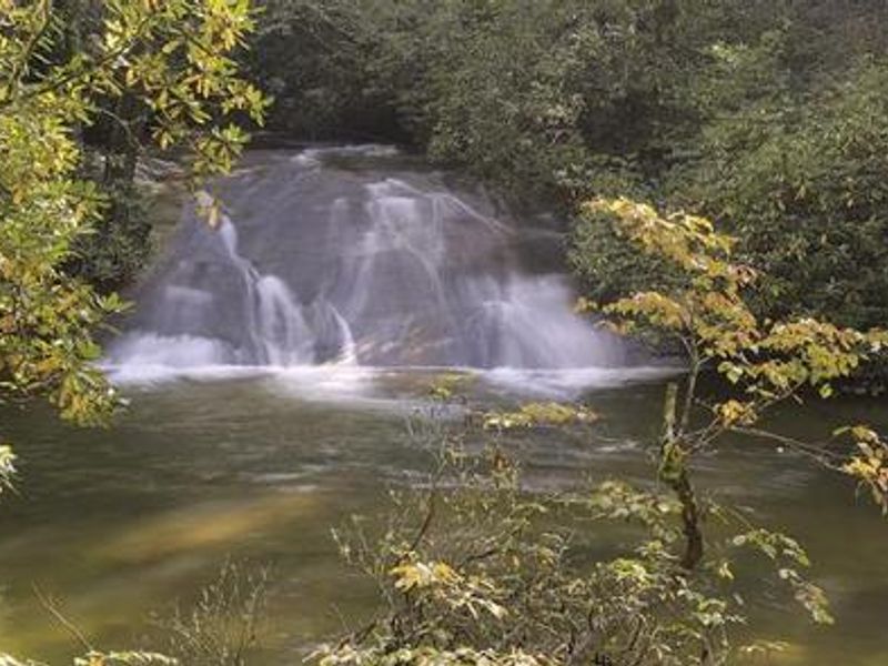 Creek at Upper Cove Creek 