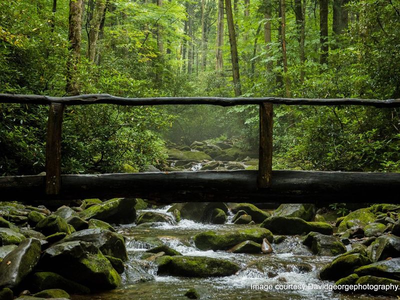 Footbridge over Cosby Creek
