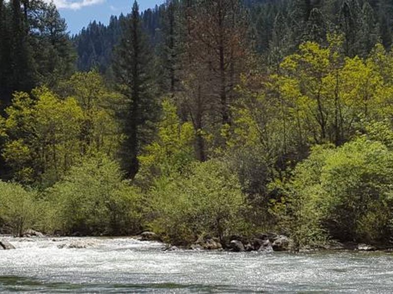 North Fork Yuba River at Fiddle Creek Campground