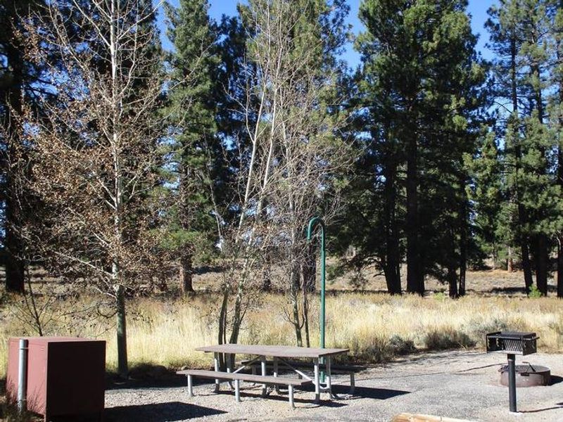 Each campsite features a bear box, picnic table, fire ring, grill, and lantern hook.