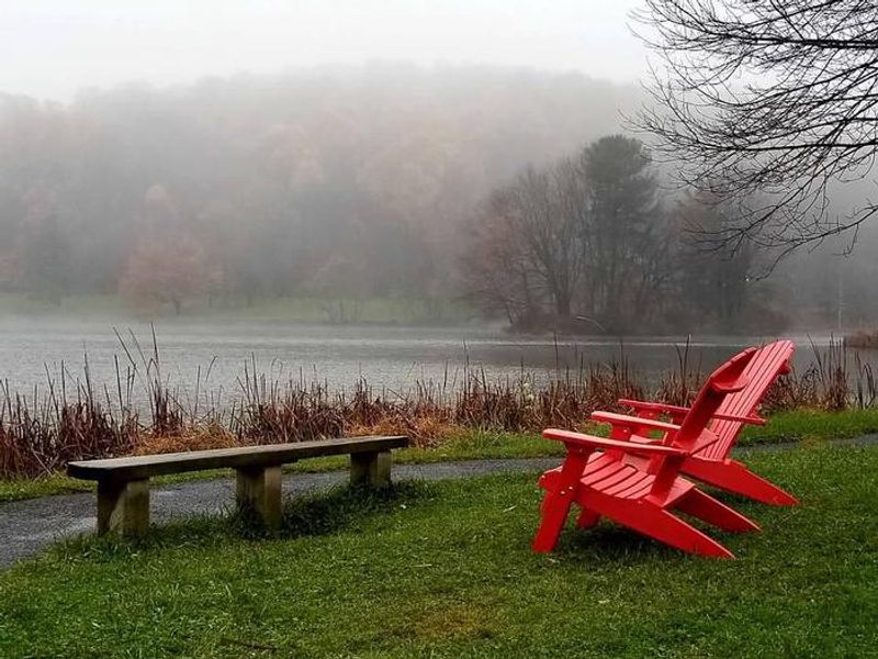 A foggy day from the shore of Abbott Lake.