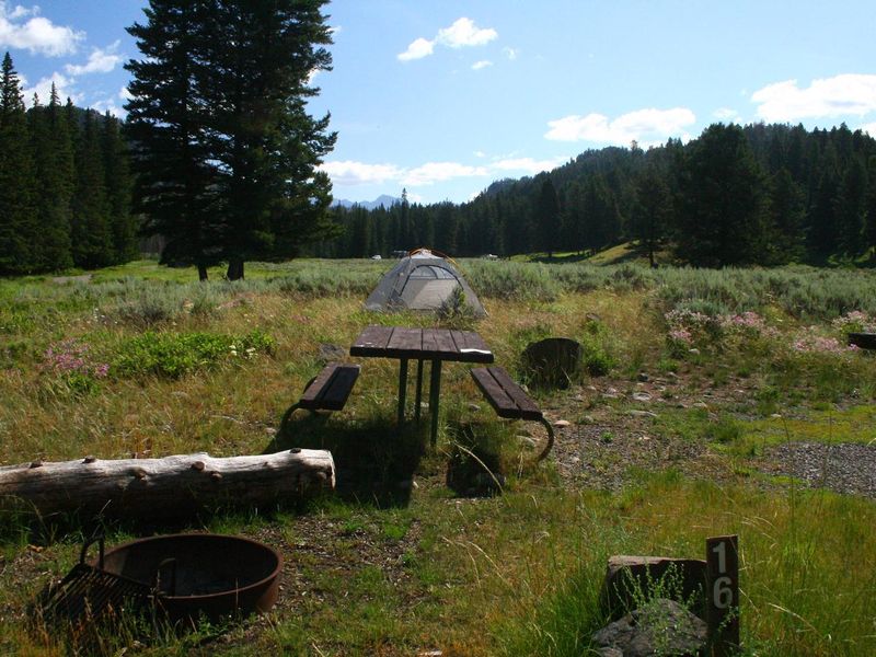 Slough Creek Campground Site #16